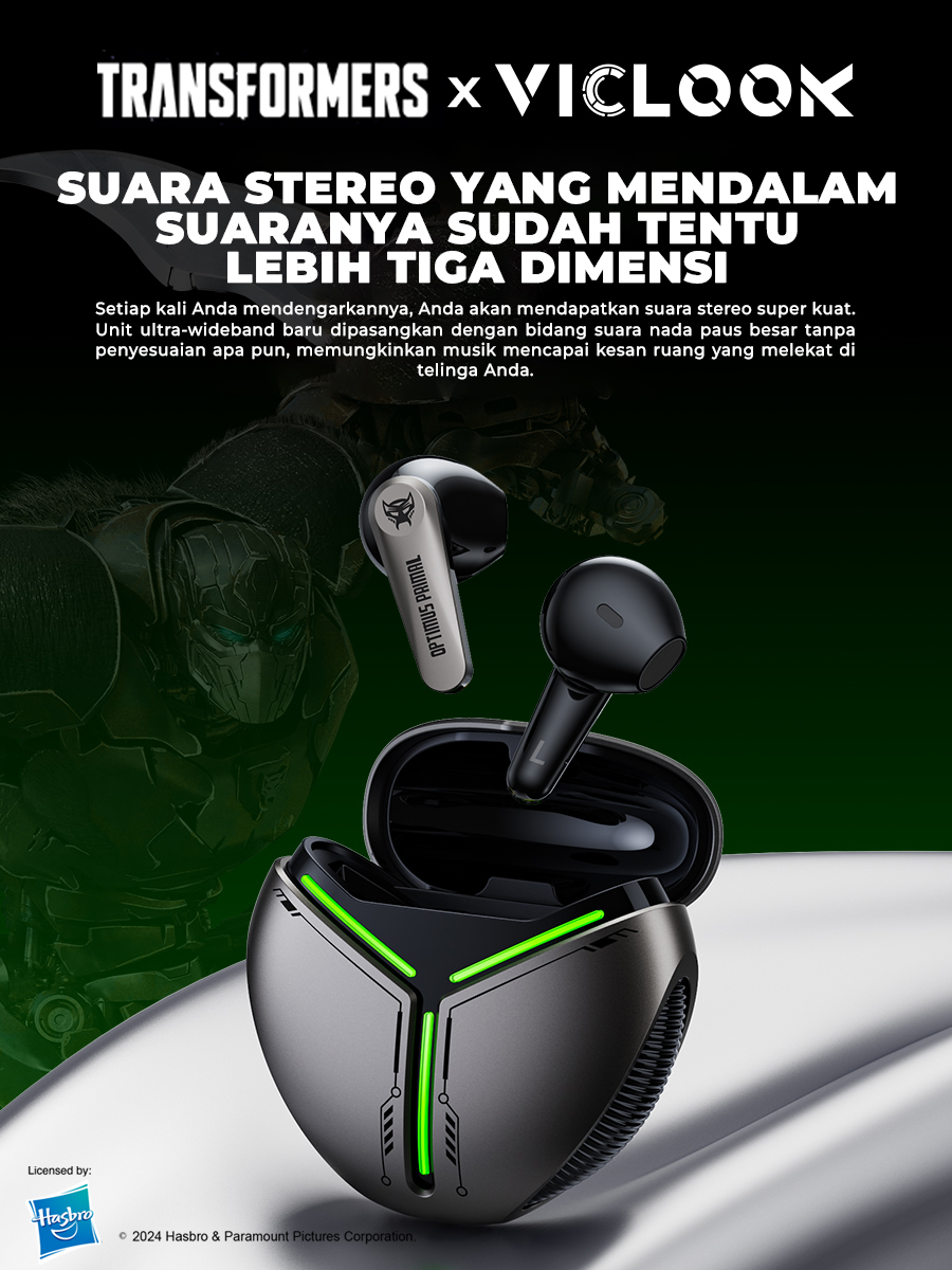 VICLOOK Earphone TF-T30