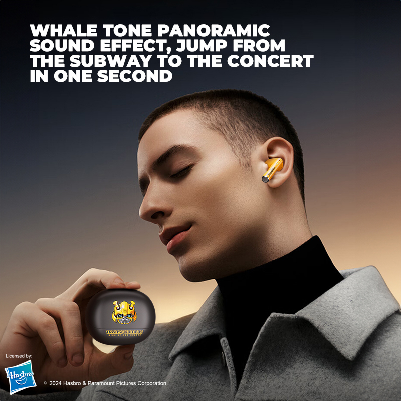 VICLOOK Earphone TF-T28