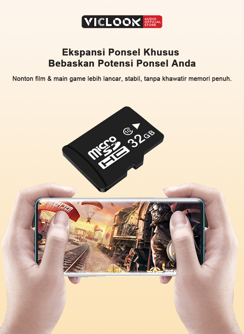 VICLOOK Kartu Memori Micro
