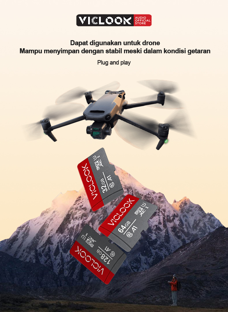 VICLOOK Kartu Memori Micro