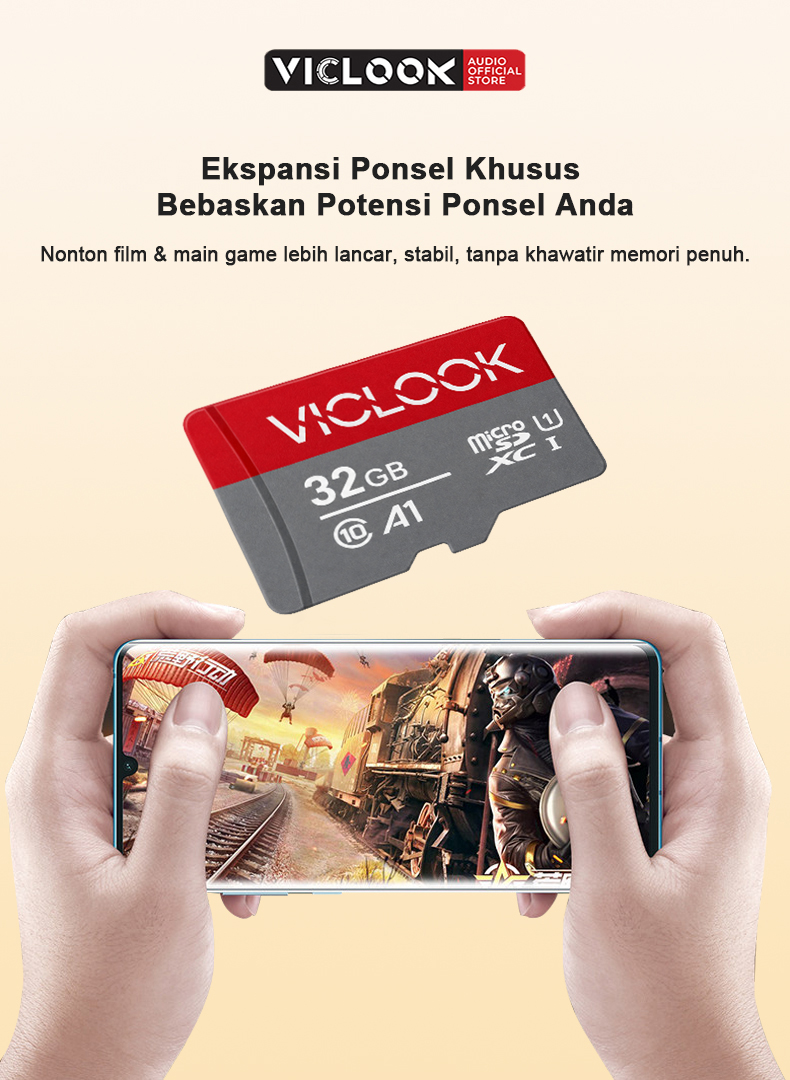 VICLOOK Kartu Memori Micro