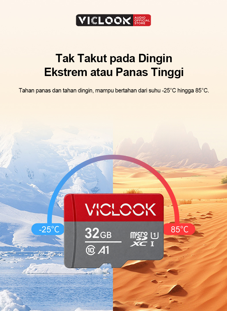 VICLOOK Kartu Memori Micro