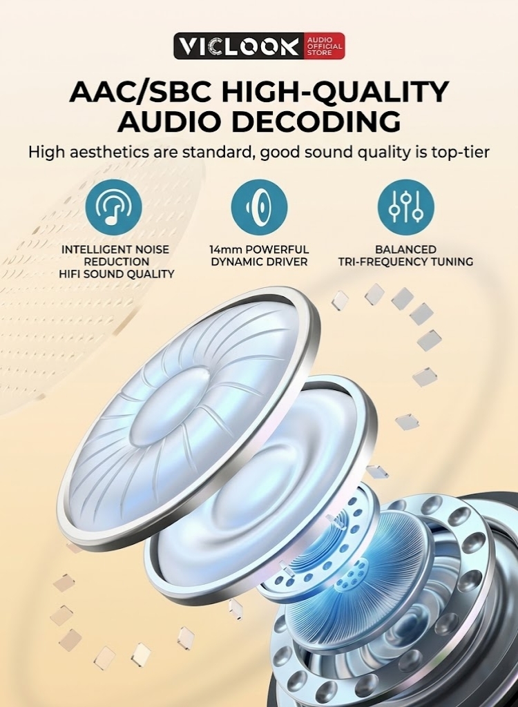 VICLOOK Microphone