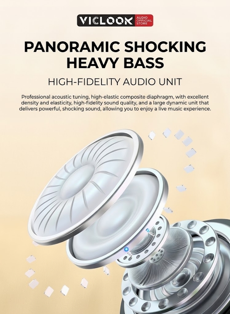VICLOOK Microphone